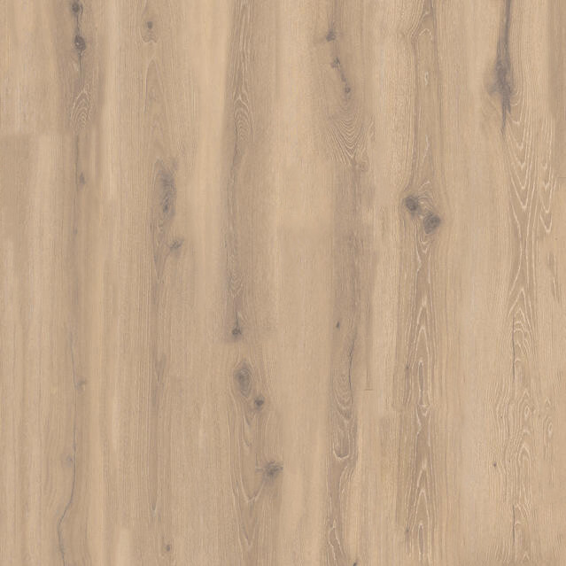 Forest Oak Nutmeg